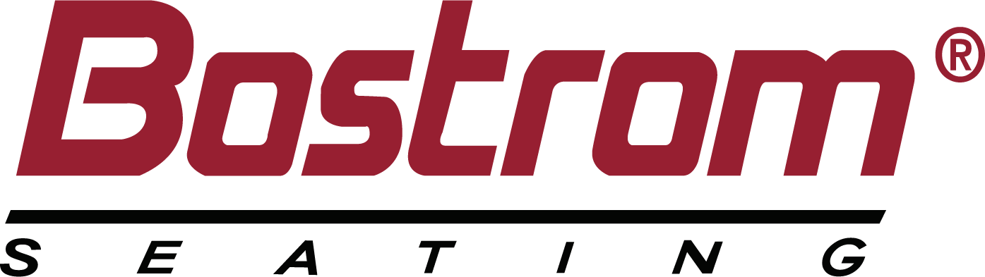 logo de Bostrom