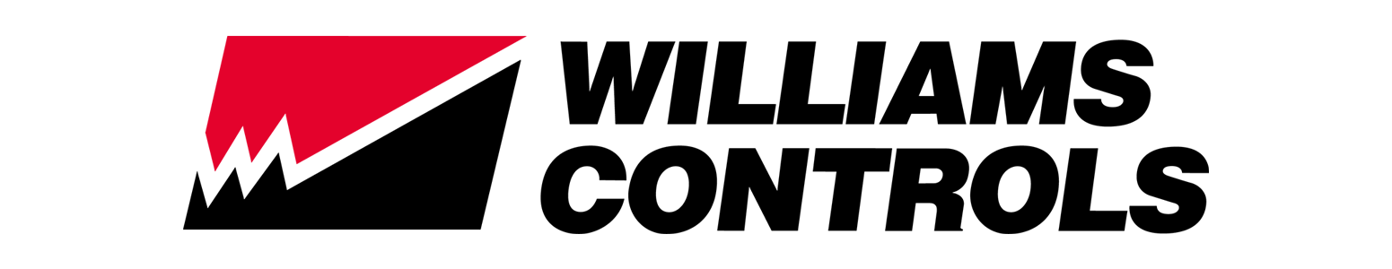 Logo WILLIAMS CONTROLS